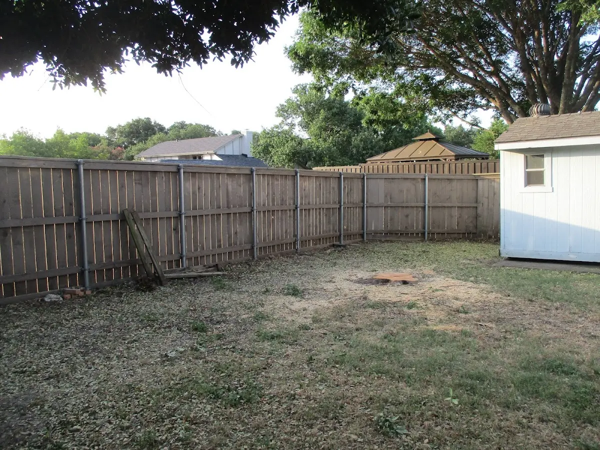 Cleared yard after professional tree removal in Herkimer